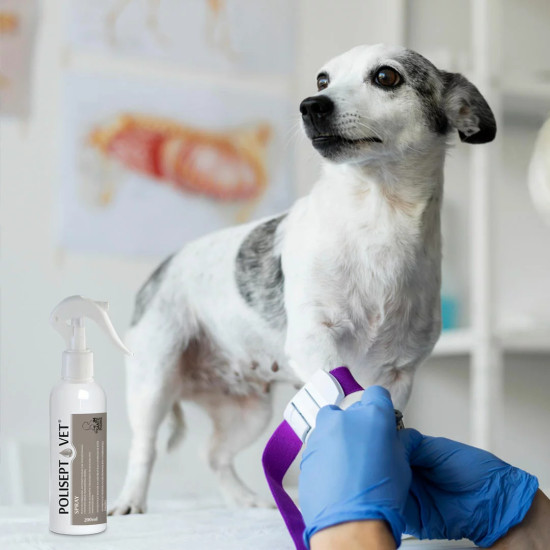 JM Sante Polisept Vet Spray pentru rani la caini si pisici, 200 ml